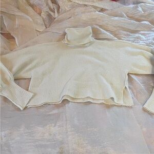 Urban Outfitters Cropped Turtleneck